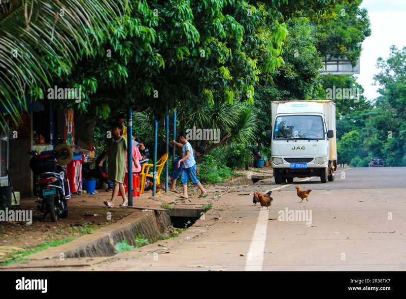 Image: Ontdekt de Gokmogelijkheden van de Populaire Chicken Road Online Gokkast