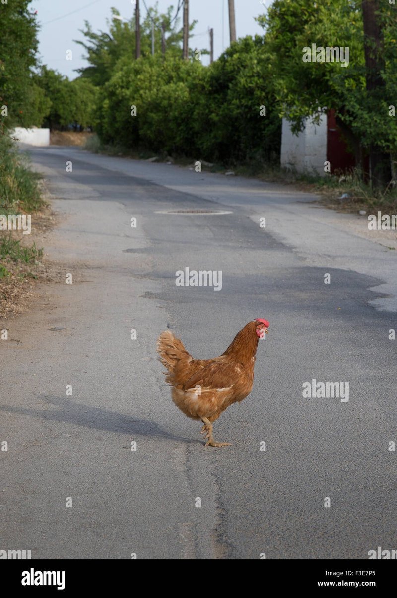 Descubre el Mito de la Carretera del Pollo en España - Casino y Juego Online - overview